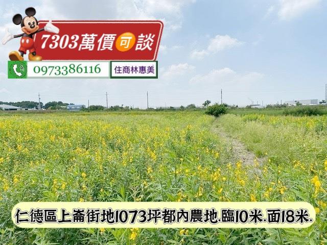 台南仁德農地-2