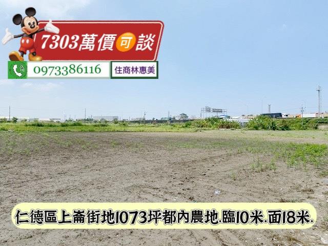 台南仁德農地-4