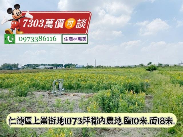 台南仁德農地-6